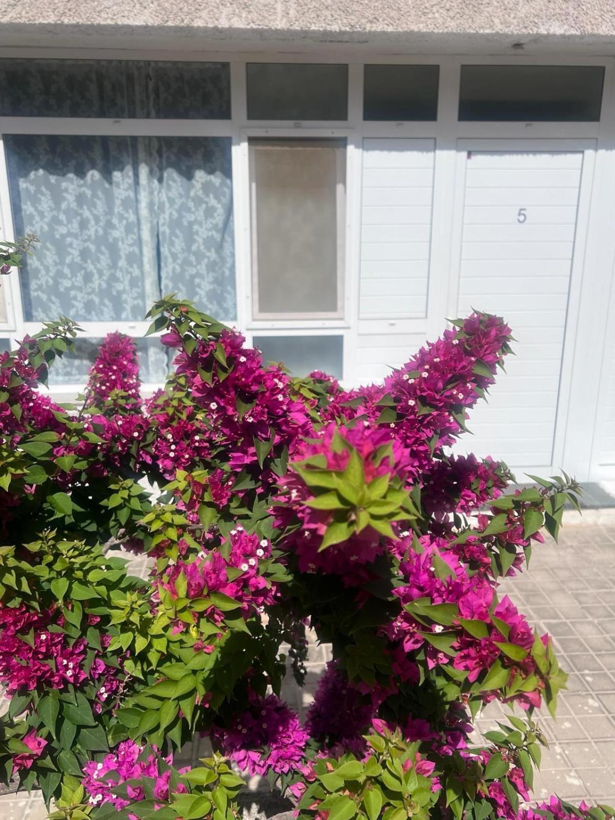 Apartament Relax 5 *